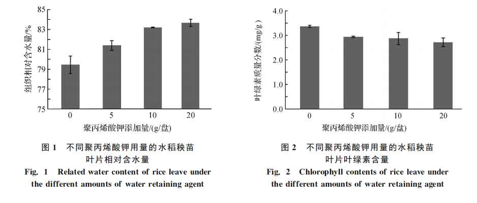 Chlorophyll content of rice leaves with different amounts of potassium polyacrylate