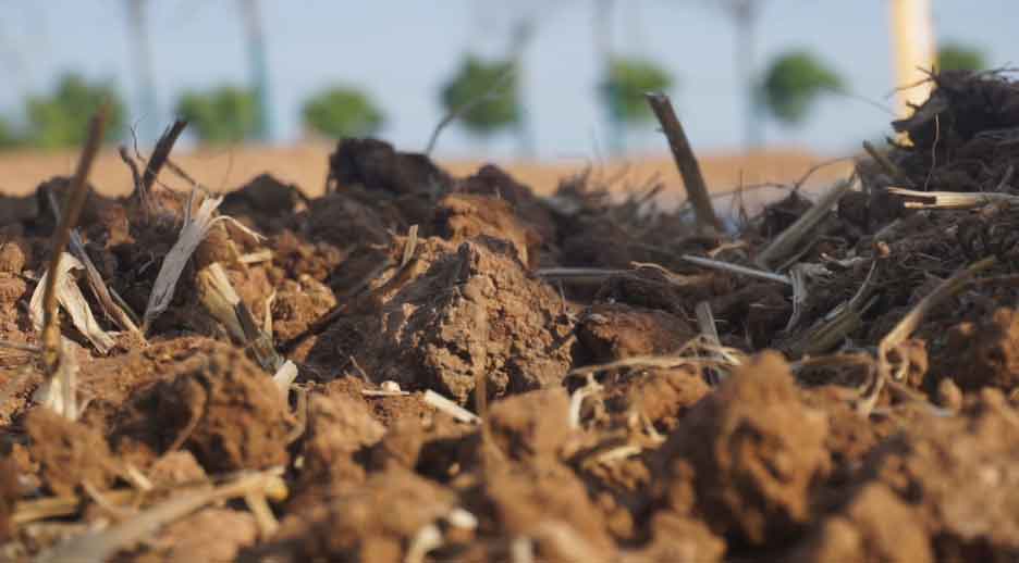 which has the greatest impact on upland rice cultivation