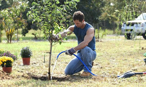 water-retention-agent-special-for-arboriculture.jpg